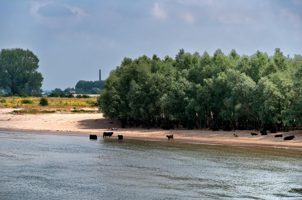 Hotel Restaurant Oortjeshekken Ooij Exteriör bild